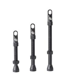 Paire de Valves Tubeless Syncros Noir
