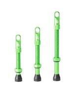 Paire de Valves Tubeless Syncros Vert