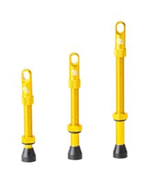 Paire de Valves Tubeless Syncros Or