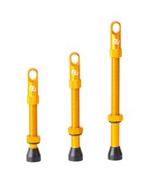 Paire de Valves Tubeless Syncros Orange
